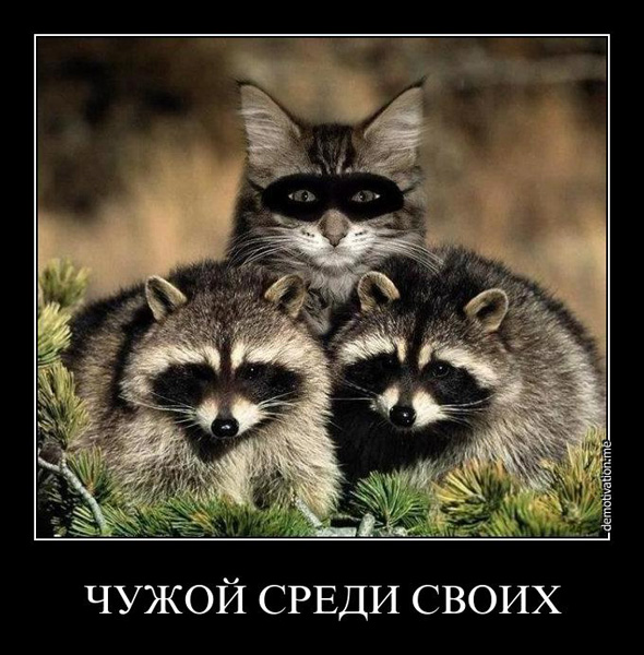 Вопрос 14 иллюстрация