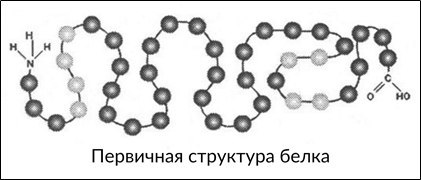 Вопрос #18 Раздаточный материал