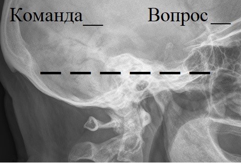 Вопрос #7 Раздаточный материал