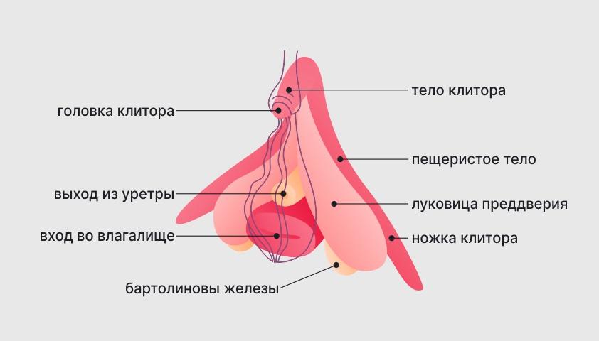 Вопрос #28 Раздаточный материал