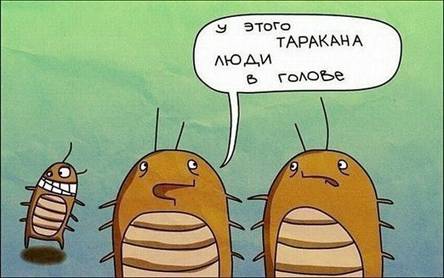 Вопрос 23 иллюстрация
